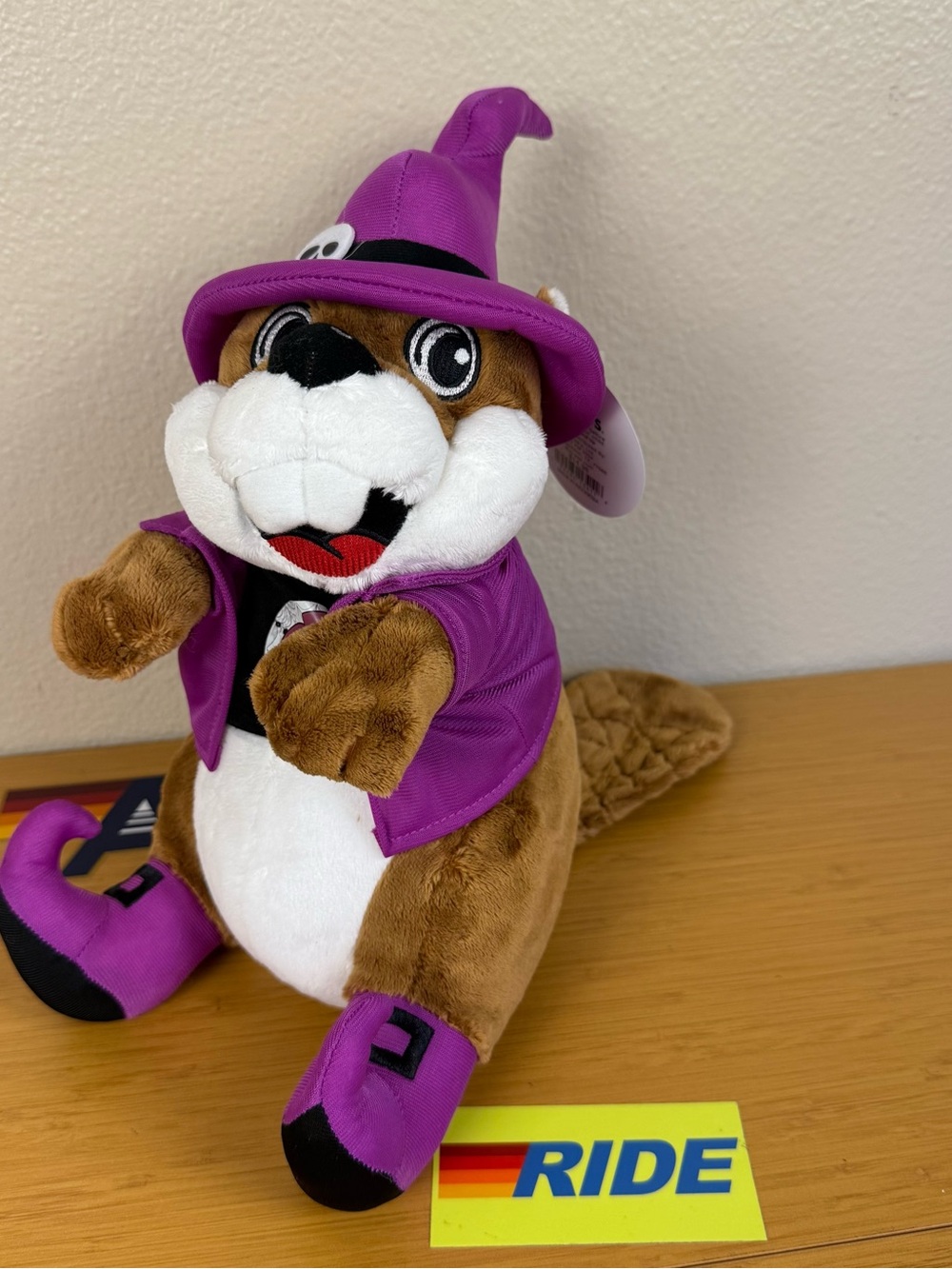 Buc-ees 2025 Halloween Beavee in Purple Witch Costume - Cute Stuffed Animal NWT